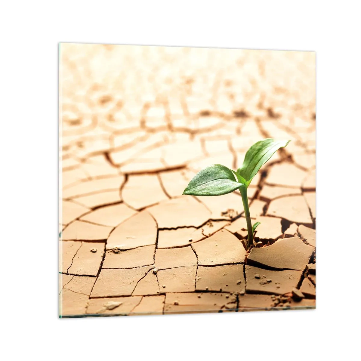 Quadro em vidro - A força indomável da vida - 30x30 cm