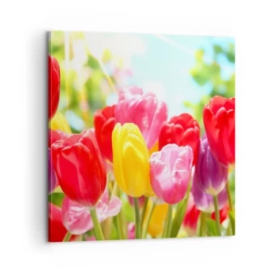 Quadro em tela - Somos nós, as cores de maio! - 60x60 cm