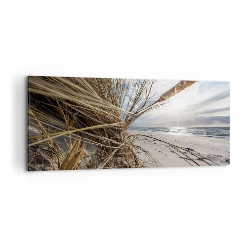 Quadro em tela - Reunião dos rlementos da natureza - 100x40 cm
