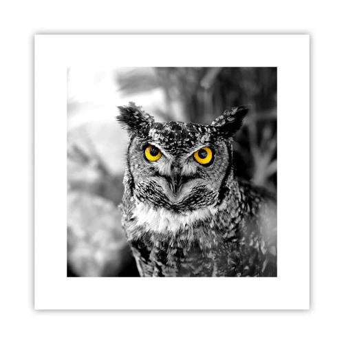 Pôster - Nada pode ser escondido - 30x30 cm