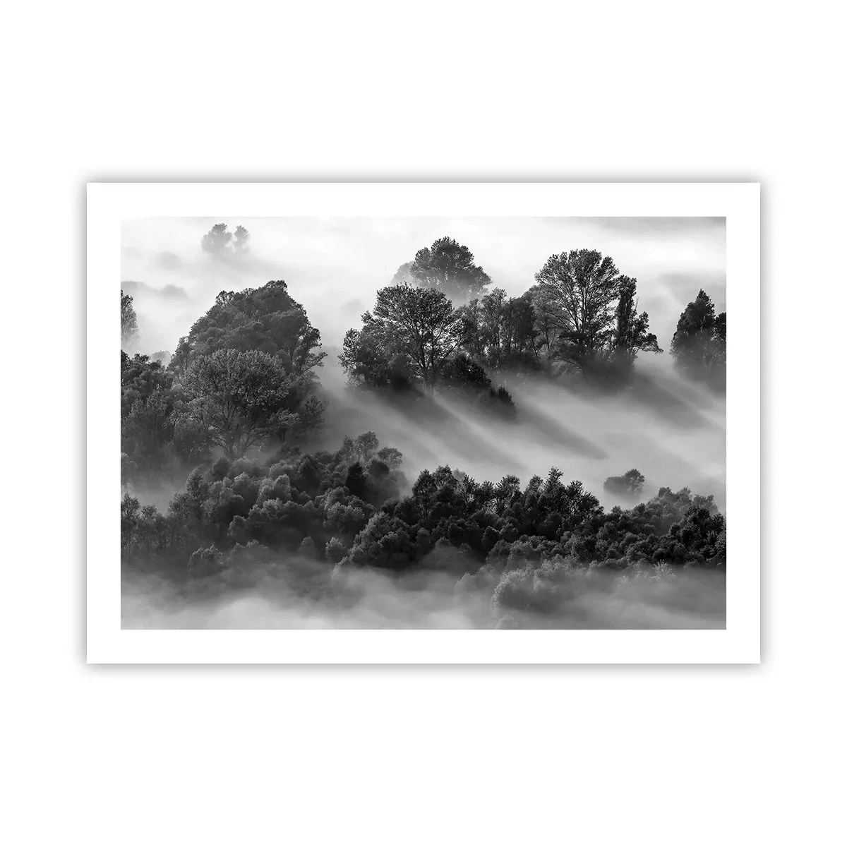 Pôster - Levantar-se do sono - 70x50 cm