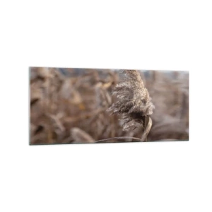 Quadro em vidro - É hora de voar com o vento - 120x50 cm