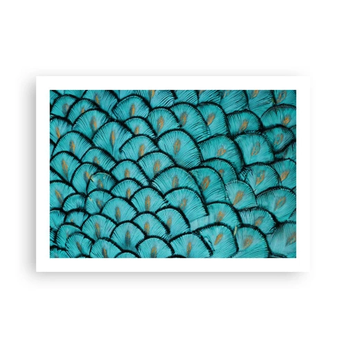 Pôster - A grande gala de penas - 70x50 cm