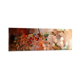 Quadro em vidro - Enroscado numa teia de aranha - 160x50 cm