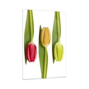 Quadro em vidro - Composição arco-íris - 80x120 cm