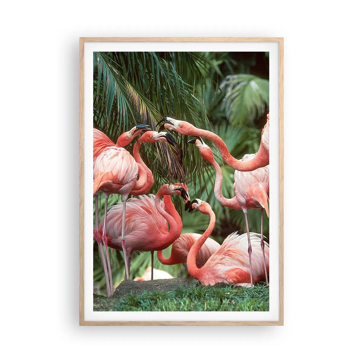 Pôster com moldura de carvalho claro - Fofocas da tarde - 70x100 cm