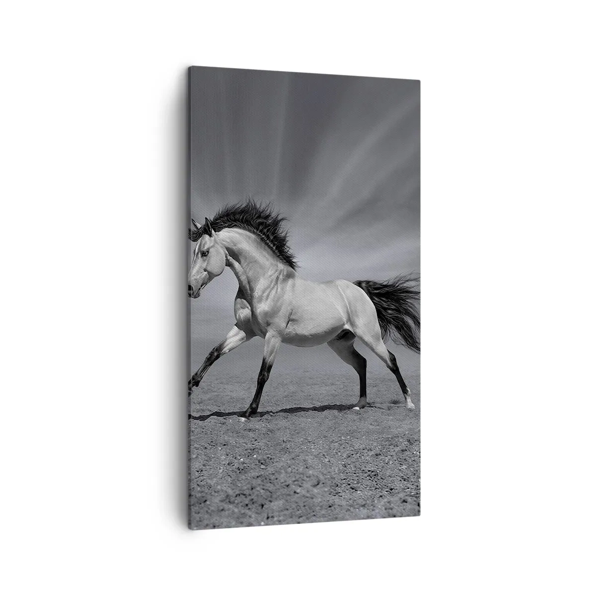 Quadro em tela - Nascido para encantar - 45x80 cm