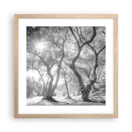 Pôster com moldura de carvalho claro - No olival - 40x40 cm