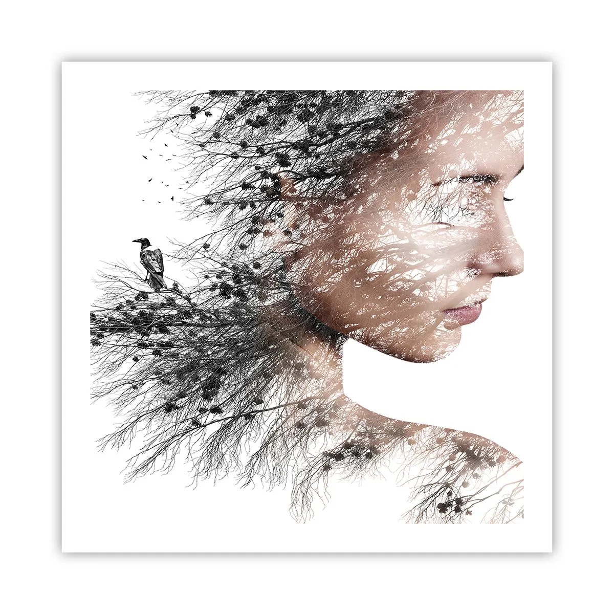 Pôster - Espírito da floresta - 60x60 cm
