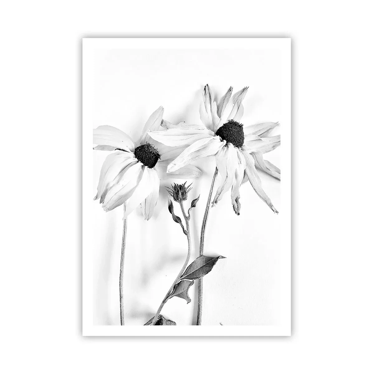 Pôster - Ninguém quer estar sozinho - 70x100 cm