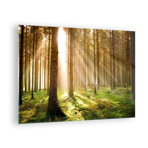 Quadro em vidro - Raios de sol penetrando através das árvores da floresta - 70x50cm - Os elfos estão prestes a aparecer - Decoração de parede moderna para a sala de estar e quarto ARTTOR