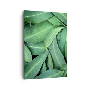 Quadro em tela - Suculentas e frescas - 50x70 cm