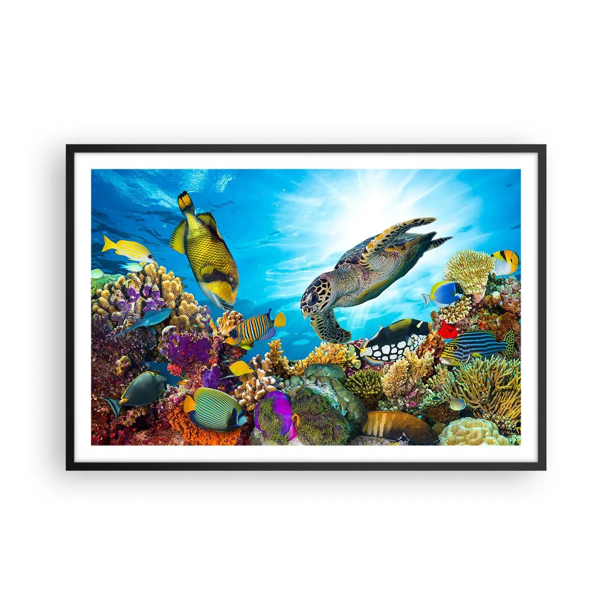 Pôster com moldura preta - Alameda dos corais - 91x61 cm