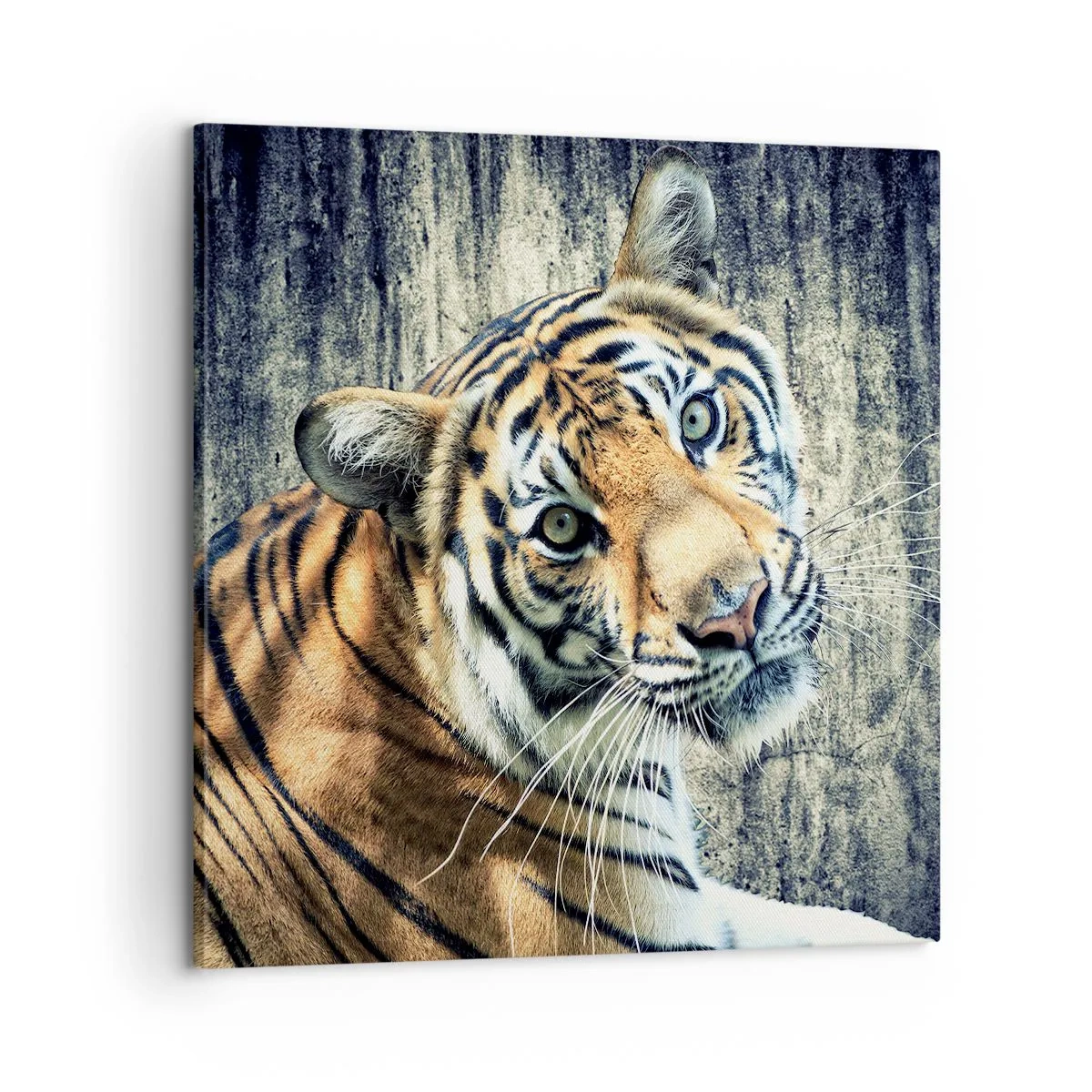 Quadro em tela - Retrato em feixes de luz - 60x60 cm