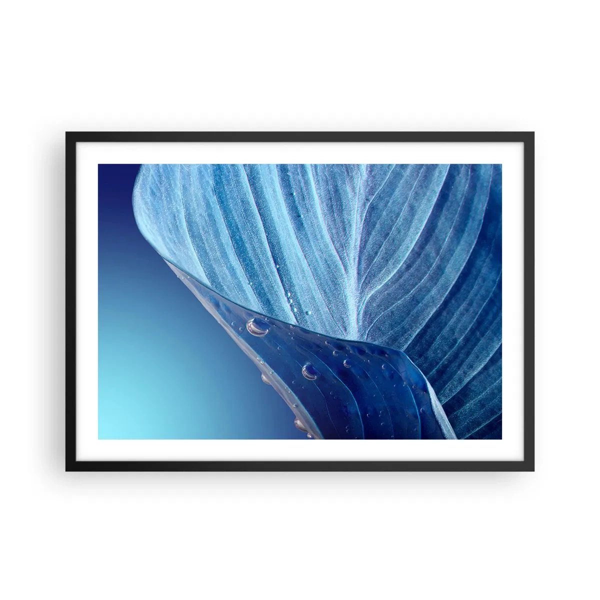 Pôster com moldura preta - Gotas escondidas no azul - 70x50 cm