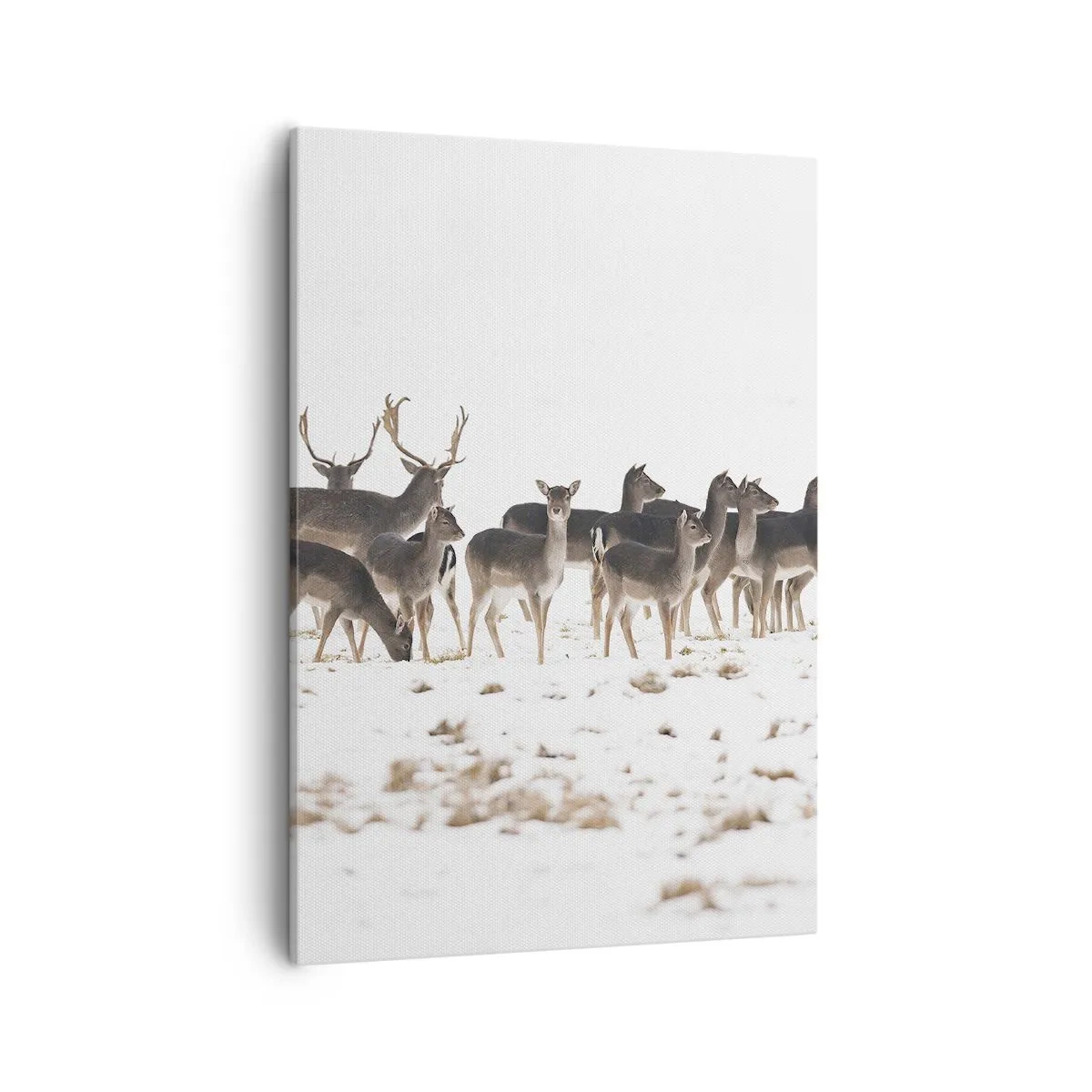 Quadro em tela - O Natal se aproxima? - 50x70 cm