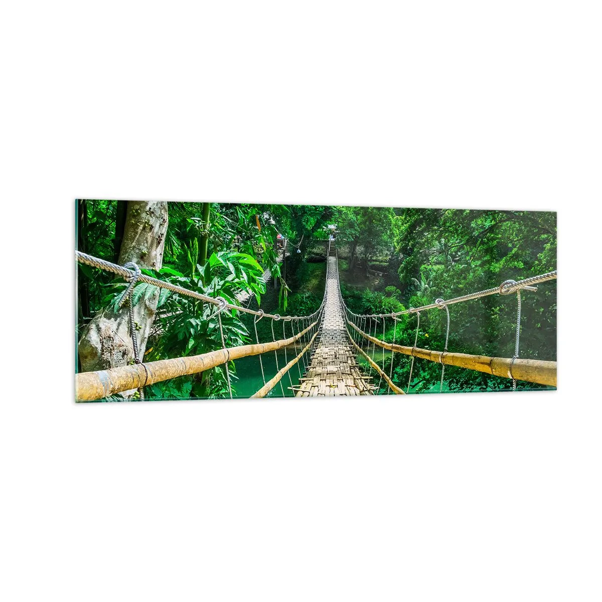 Quadro em vidro - Ponte de macacos sobre a vegetação - 140x50 cm
