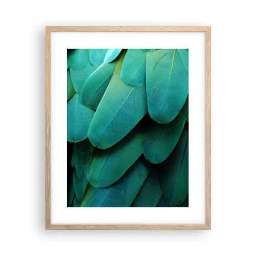 Pôster com moldura de carvalho claro - Precisão de papagaio - 40x50 cm
