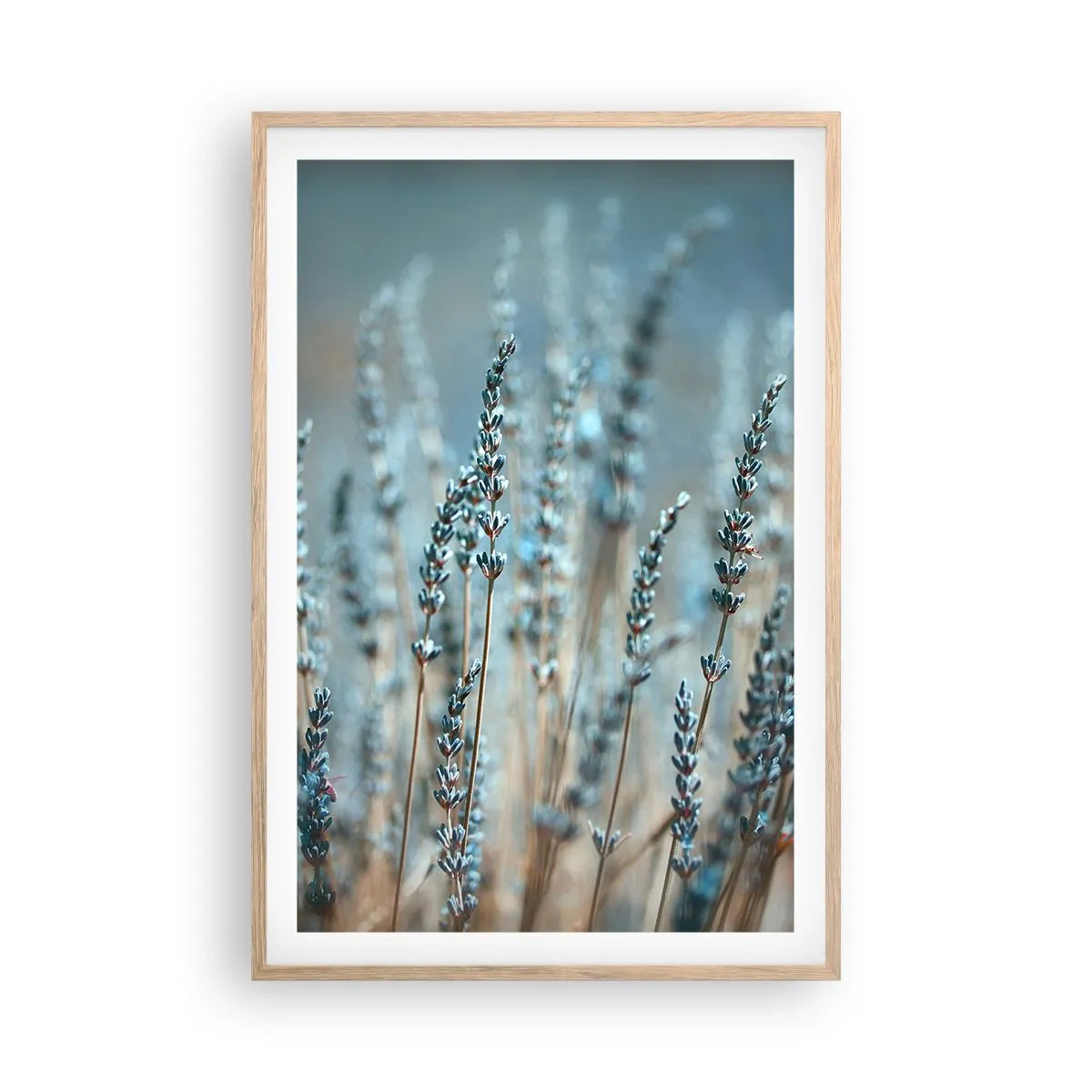 Pôster com moldura de carvalho claro - Prado perfumado - 61x91 cm
