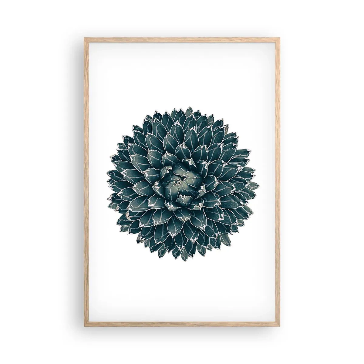 Pôster com moldura de carvalho claro - Estrela do Deserto - 61x91 cm