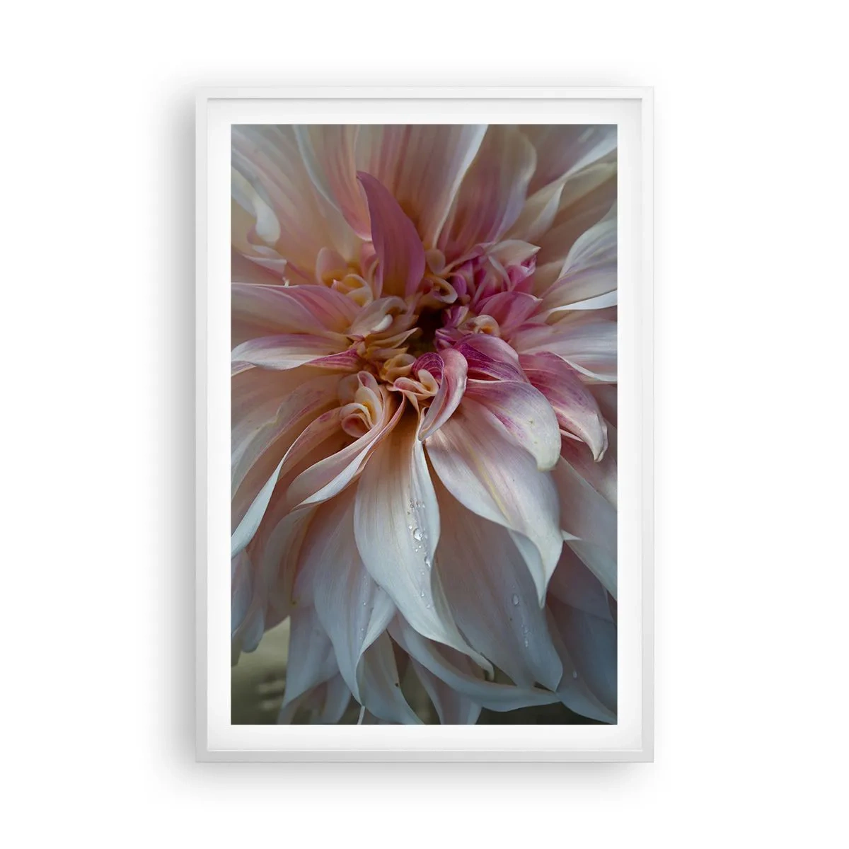 Pôster em moldura branca - Frescor florescente - 61x91 cm