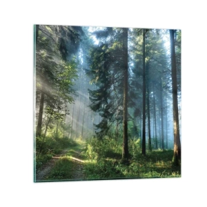 Quadro em vidro - Radiante de manhã - 40x40 cm