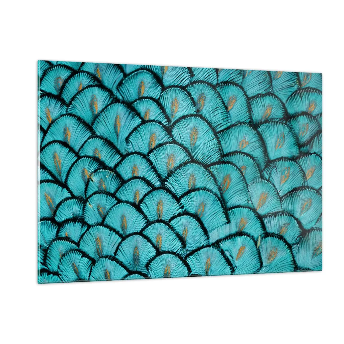 Quadro em vidro - A grande gala de penas - 120x80 cm