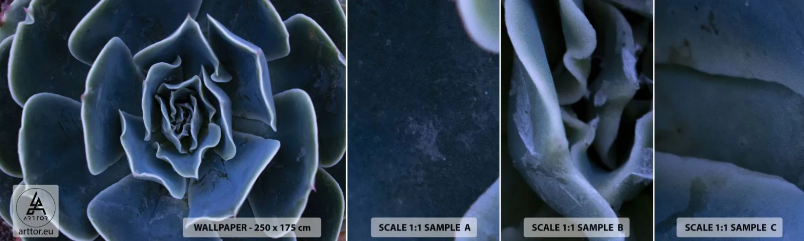 Amostra de Papel de Parede Standard Eco - Flor do deserto - Flor de agave, Flor, Natureza - 100x30 cm