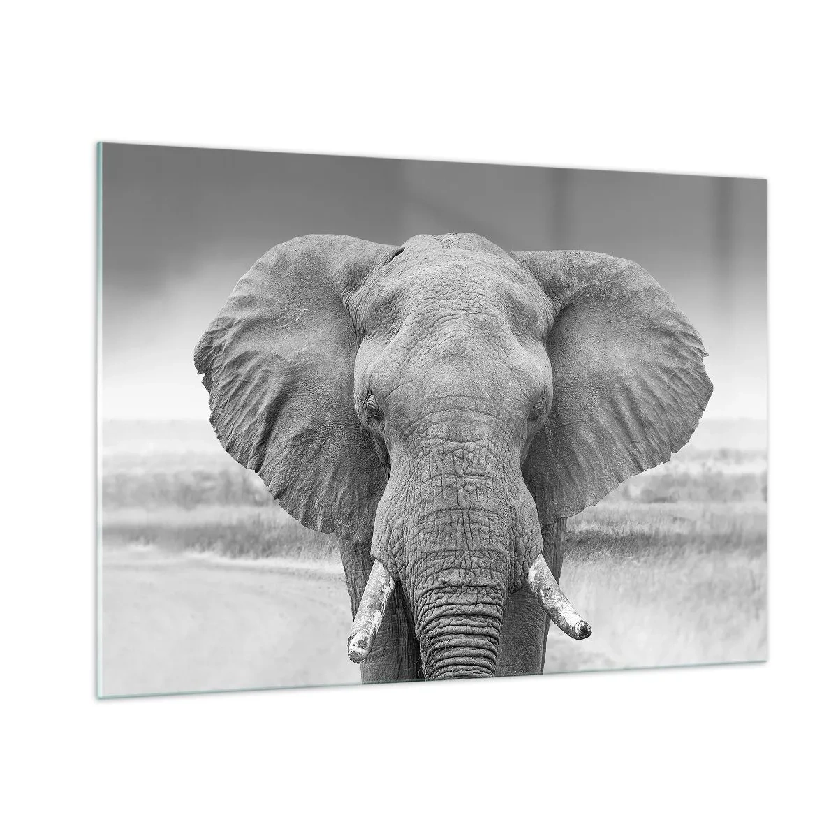 Quadro em vidro - Bem-vindo ao meu mundo - 100x70 cm