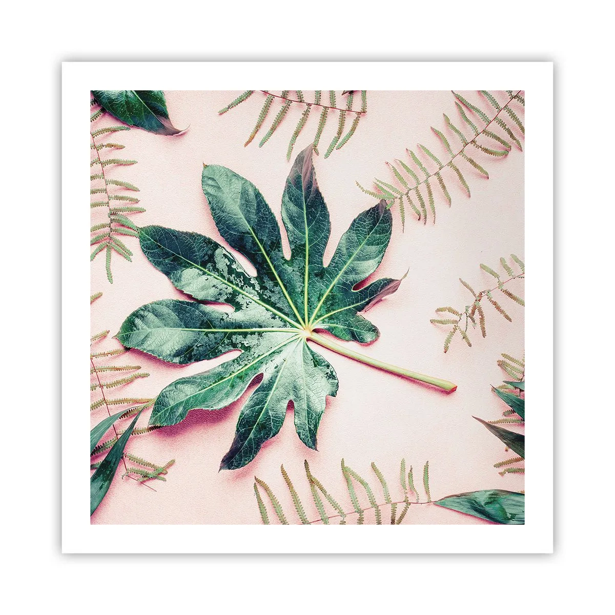 Pôster - Estudo do verde em um fundo rosa - 60x60 cm