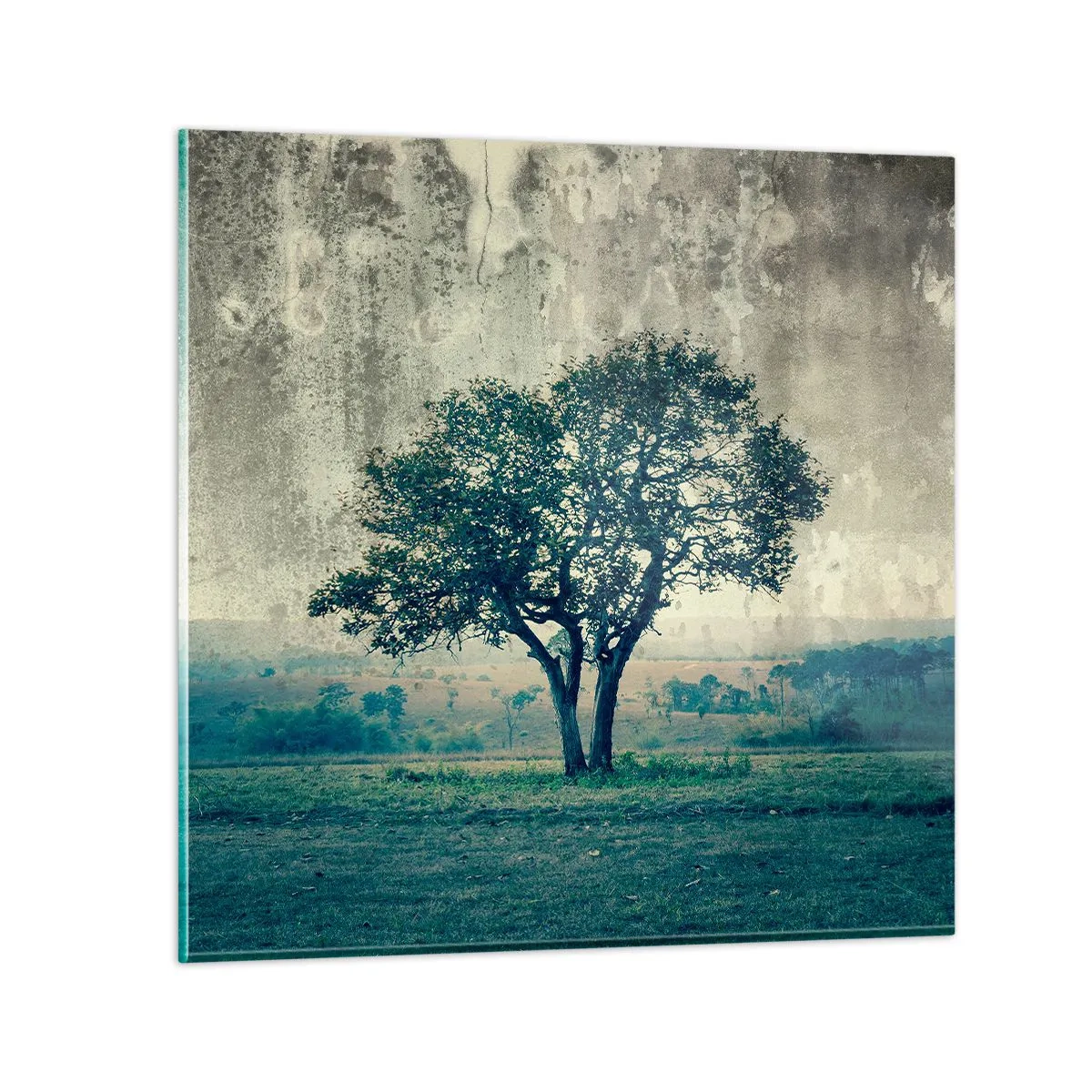 Quadro em vidro - Uma macieira num prado azul? - 30x30 cm