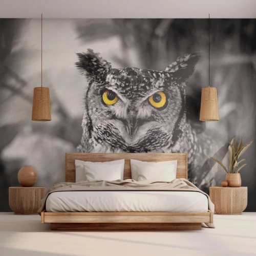 Papel de Parede Autocolante Deluxe Sticker - Nada pode ser escondido - Pássaros, Coruja, Natureza - 100x70 cm