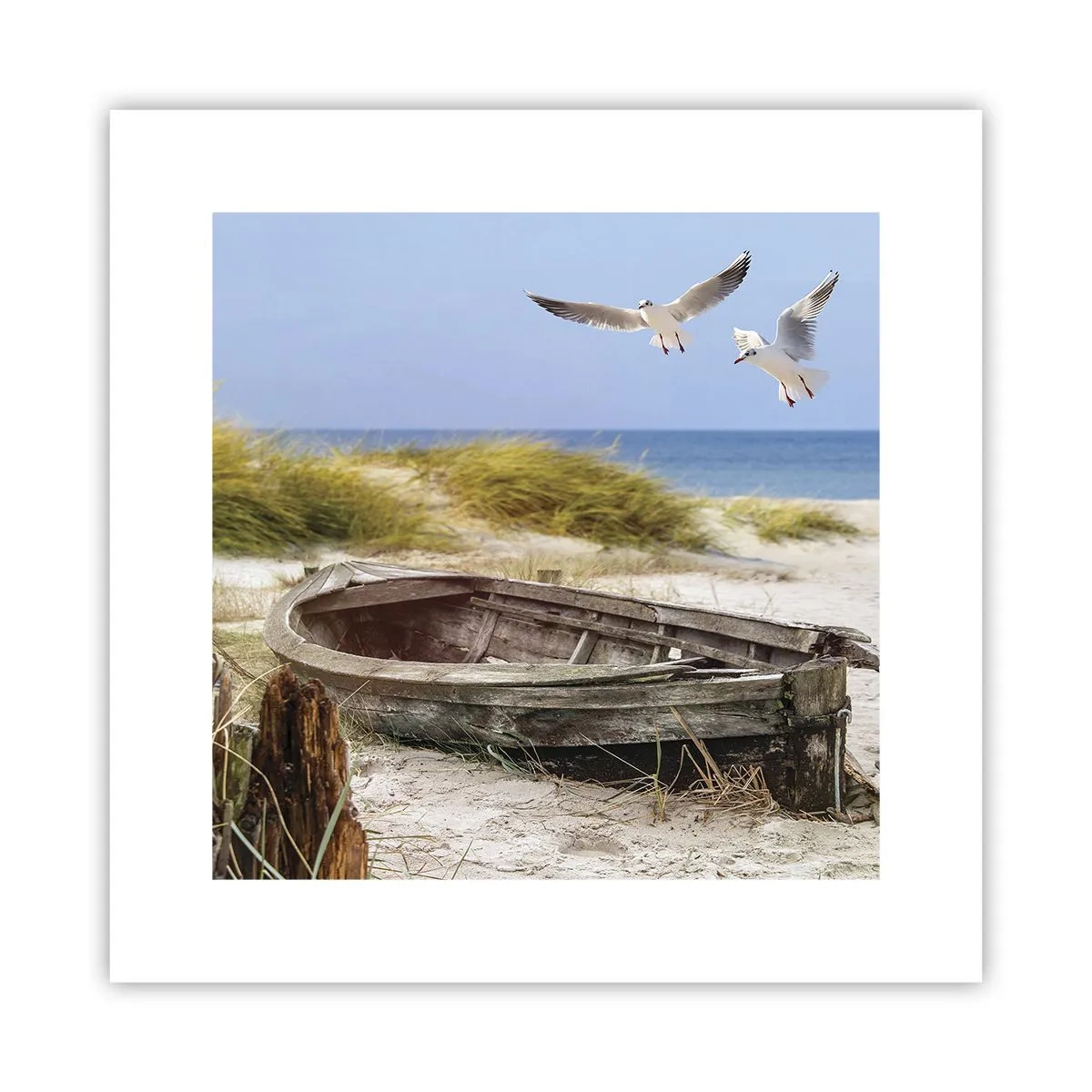 Pôster - Banhado pelo vento - 30x30 cm