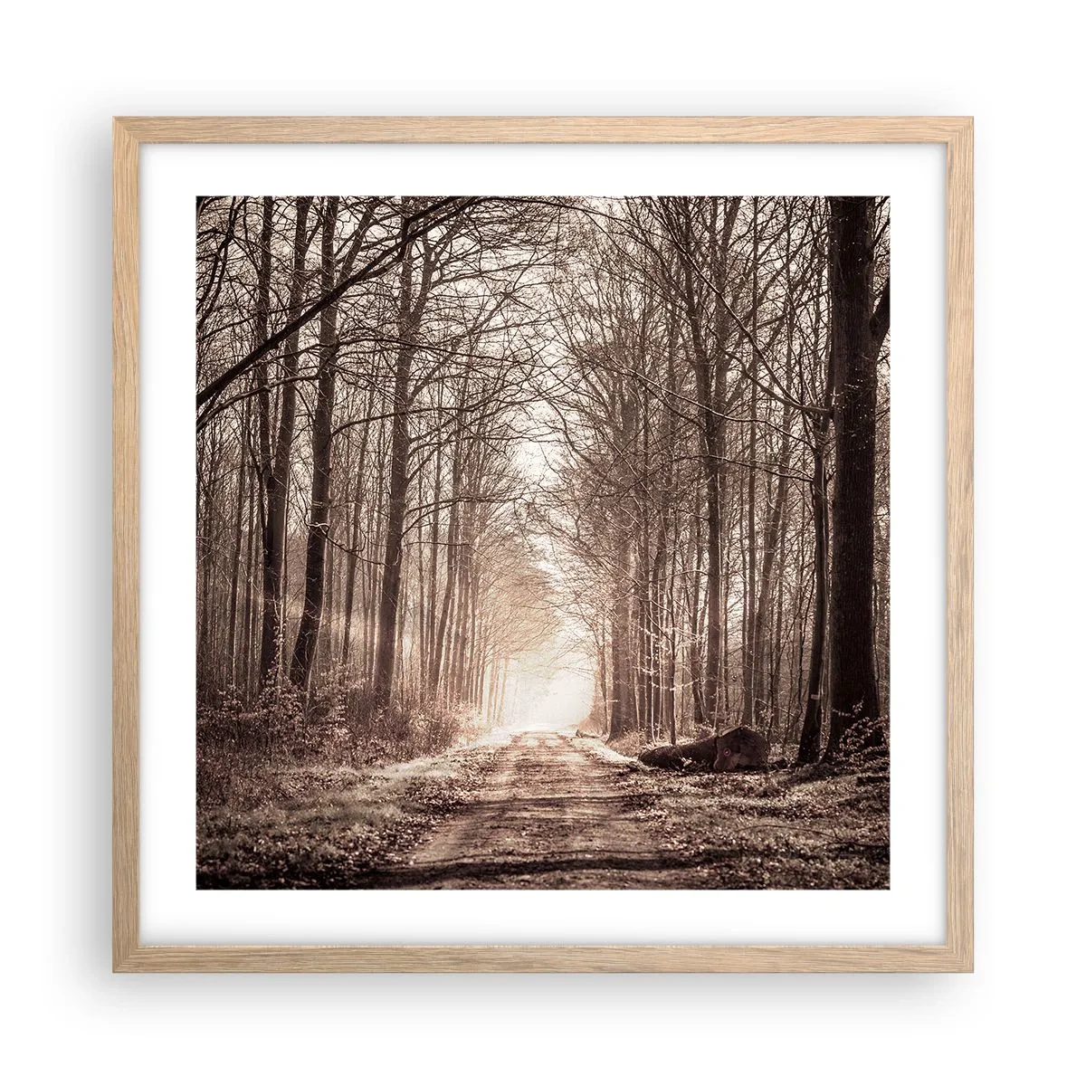 Pôster com moldura de carvalho claro - Catedral na Floresta - 50x50 cm