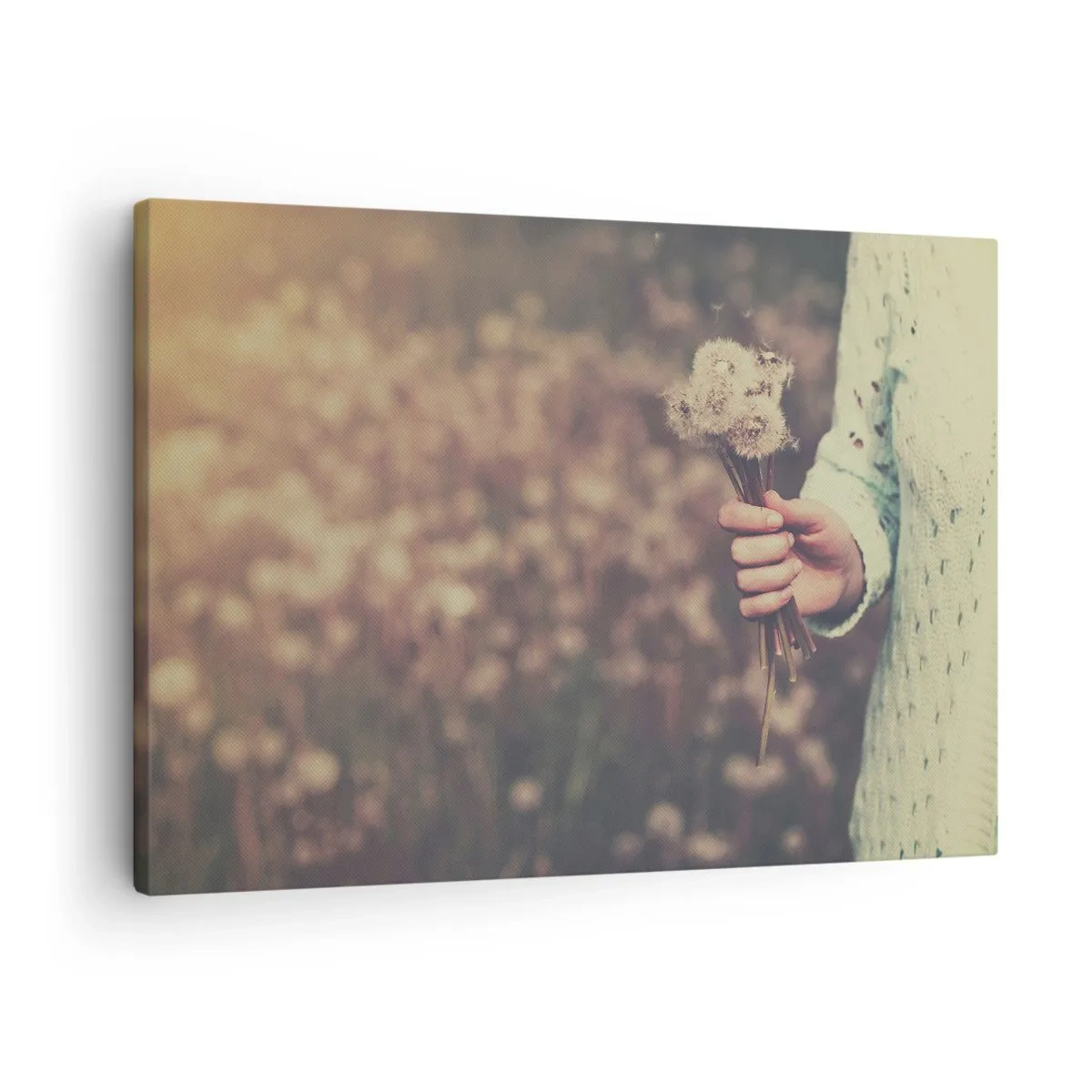 Quadro em tela - Uma mão segurando dentes-de-leão contra um fundo desfocado de um campo cheio de flores. - 70x50cm - Fique com isto, por favor - Decoração de parede moderna para a sala de estar e quarto ARTTOR