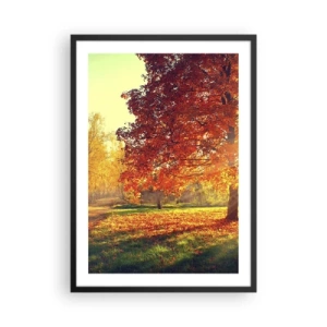 Pôster com moldura preta - Parque de outono com uma árvore com folhas douradas ao sol - 50x70cm - O vermelho é lindo - Decoração de parede moderna para a sala de estar e quarto ARTTOR