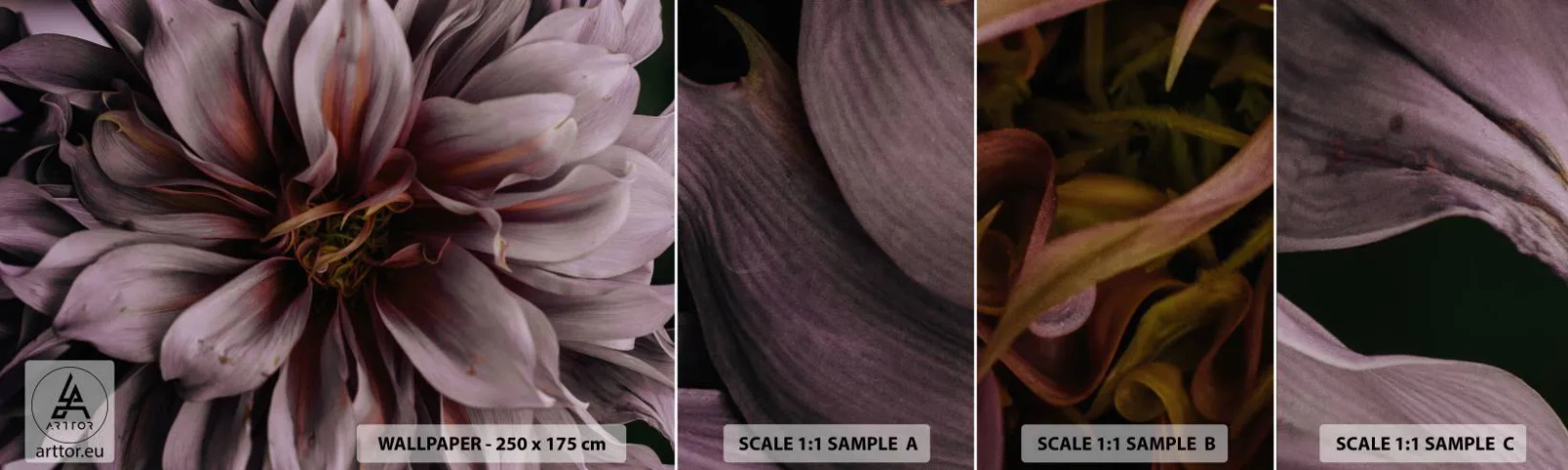 Amostra de Papel de Parede Standard Eco - Coração de flor - Buquê de flores, Dália, Flor - 100x30 cm