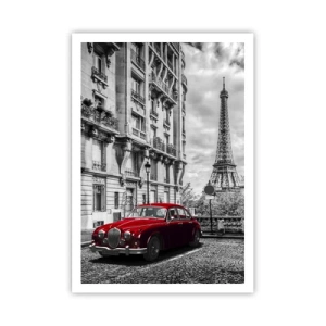 Pôster - Predador na cidade - 70x100 cm