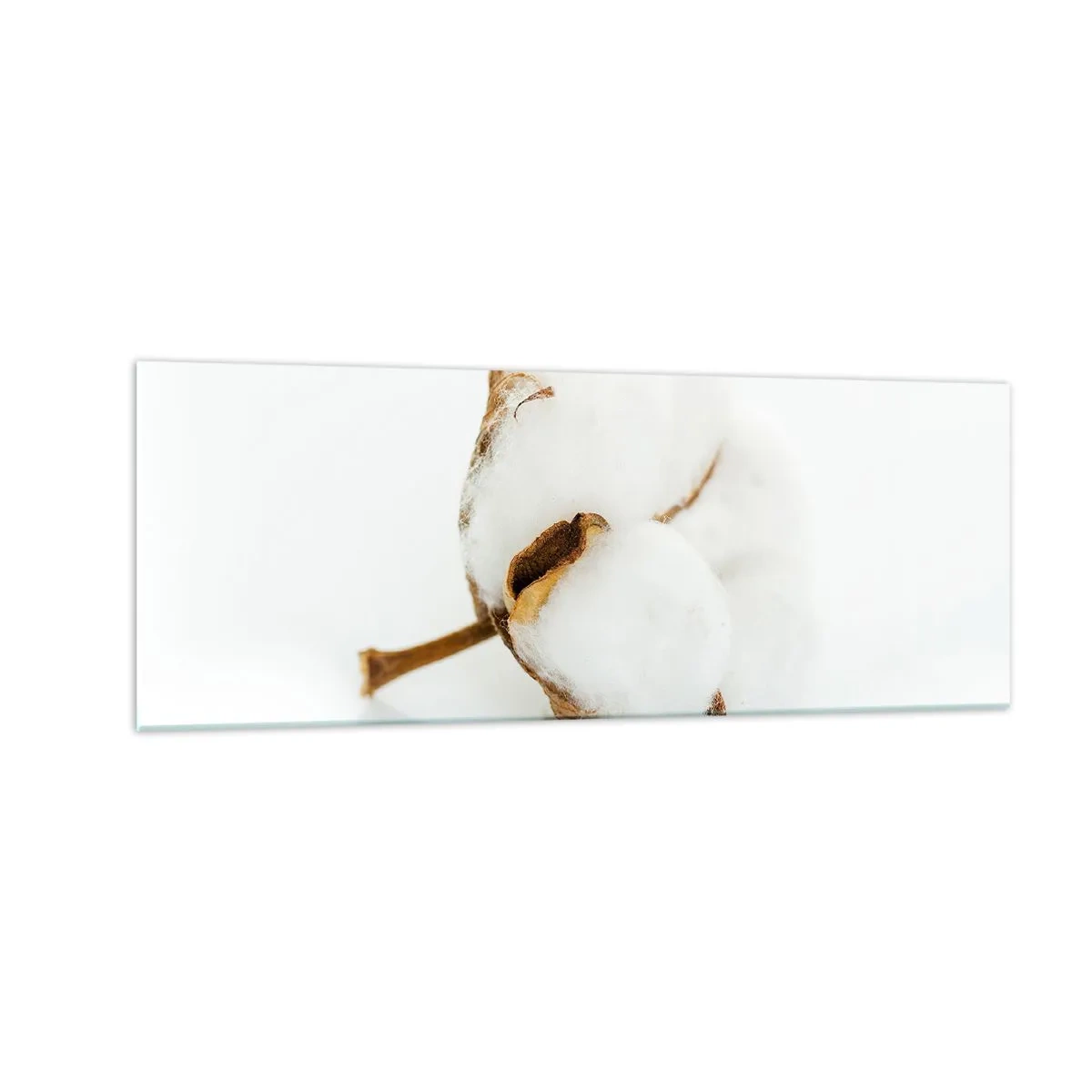 Quadro em vidro - Suave por natureza - 140x50 cm