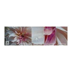 Amostra de papel de parede Premium Canvas - Frescor florescente - Flor, Dália, Plantar - 100x30 cm