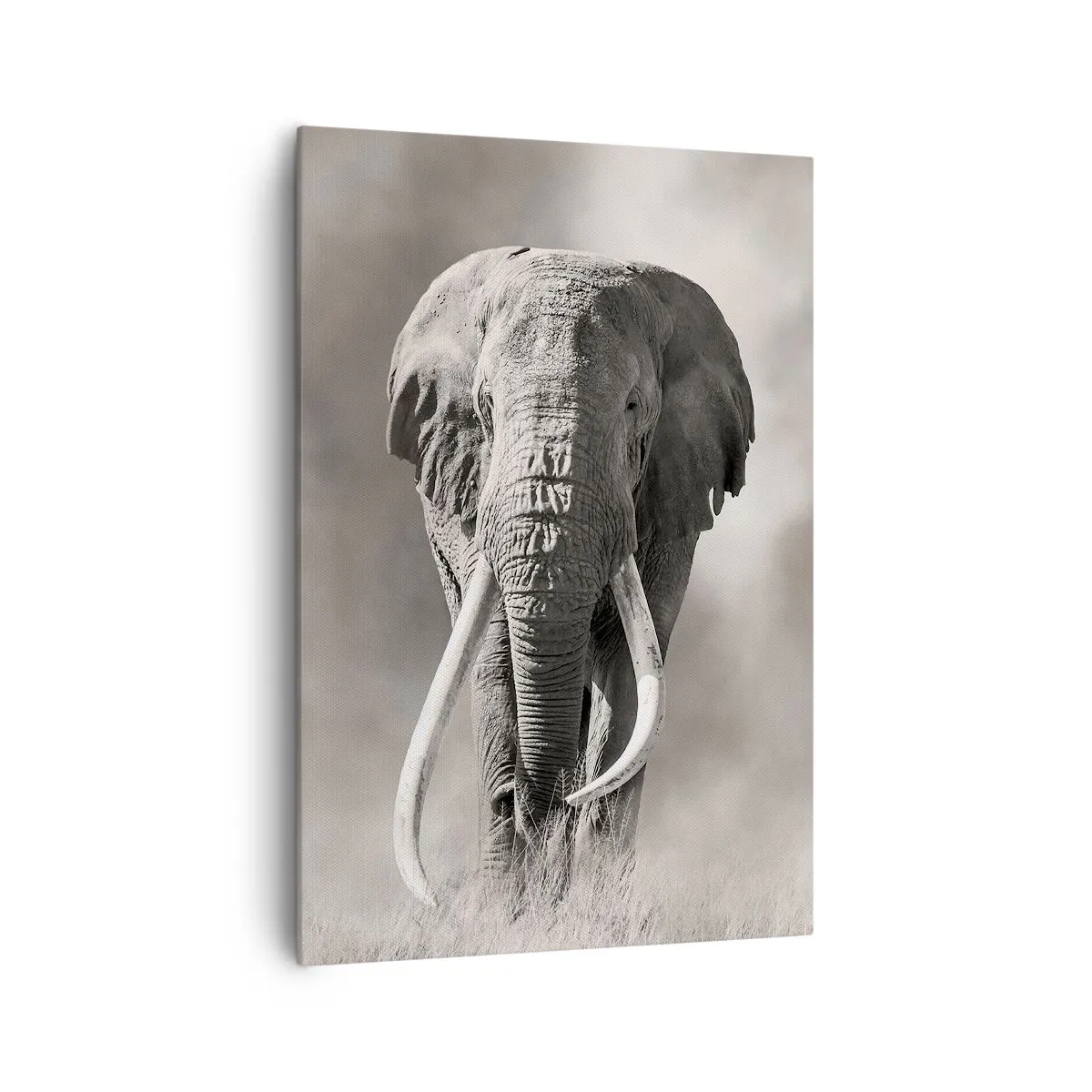 Quadro em tela - Patriarca africano - 70x100 cm