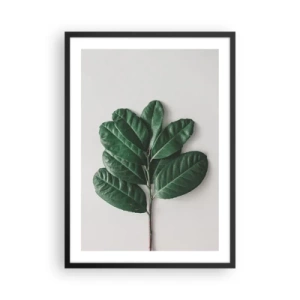 Pôster com moldura preta - Um galho com folhas verde-escuras sobre um fundo claro - 50x70cm - Desenho da própria natureza - Decoração de parede moderna para a sala de estar e quarto ARTTOR