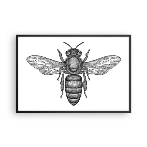 Pôster com moldura preta - Retrato de um inseto - 91x61 cm