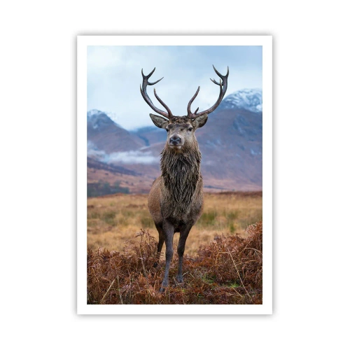 Pôster - Na sua própria terra - 70x100 cm