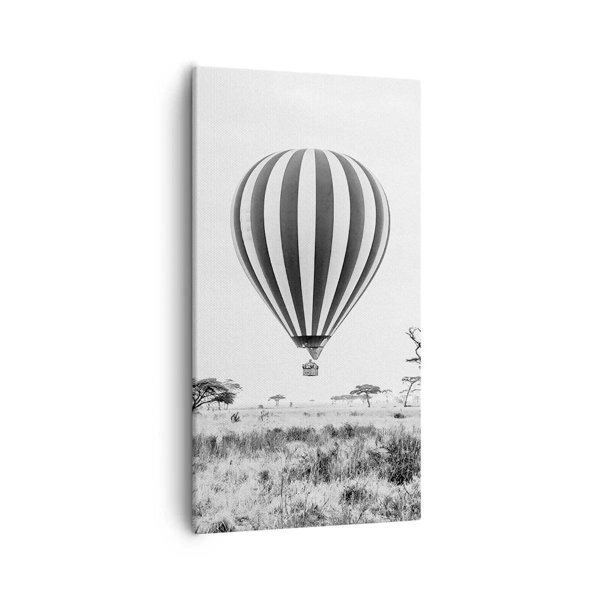 Quadro em tela - Sobre a savana - 55x100 cm