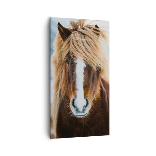 Quadro em tela - Sentes a liberdade? - 55x100 cm