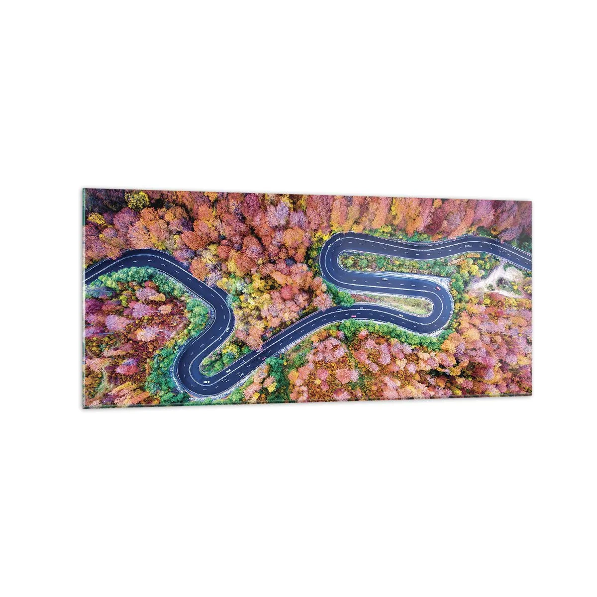Quadro em vidro - Estrada sinuosa pela floresta - 120x50 cm