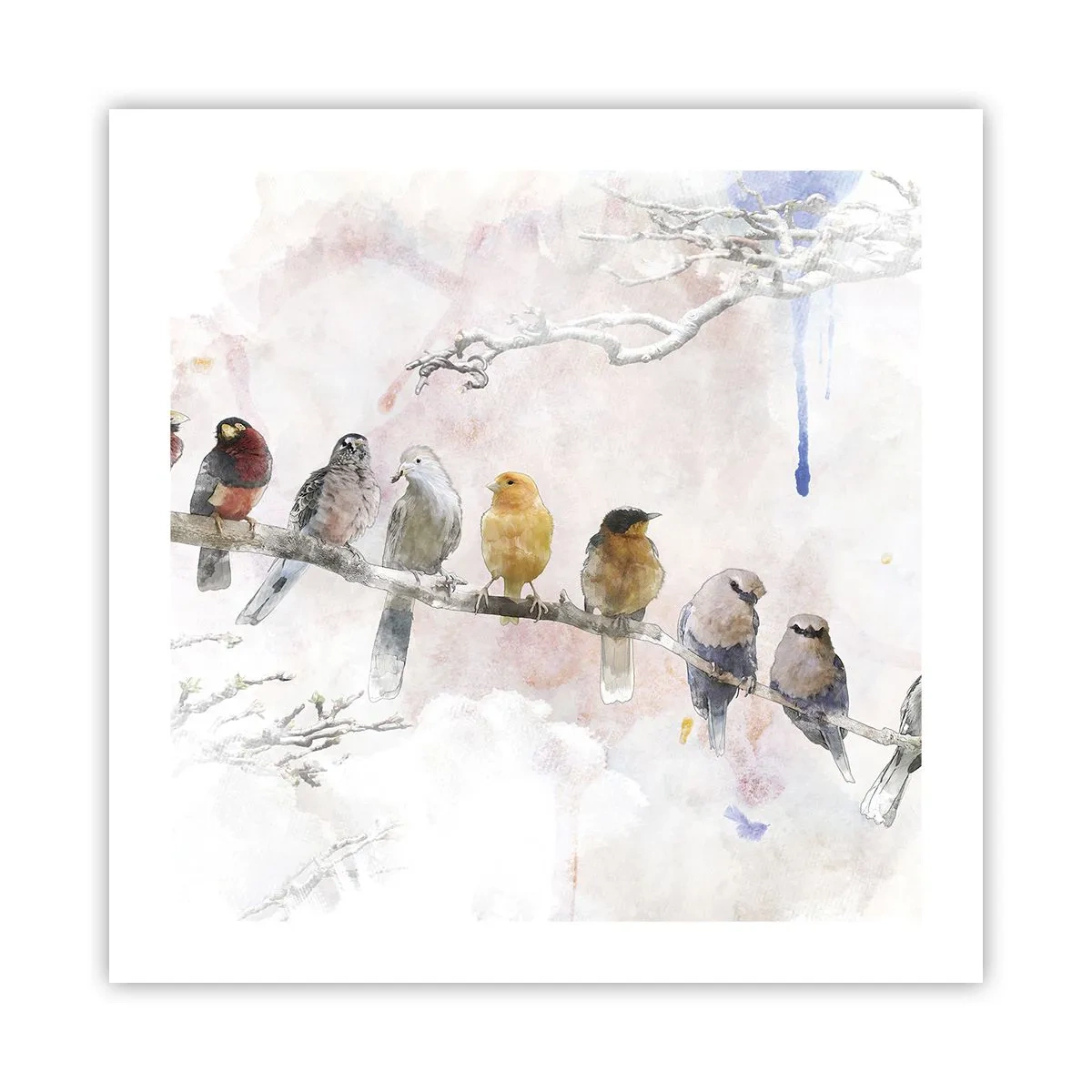 Pôster - Reunião alada - 50x50 cm