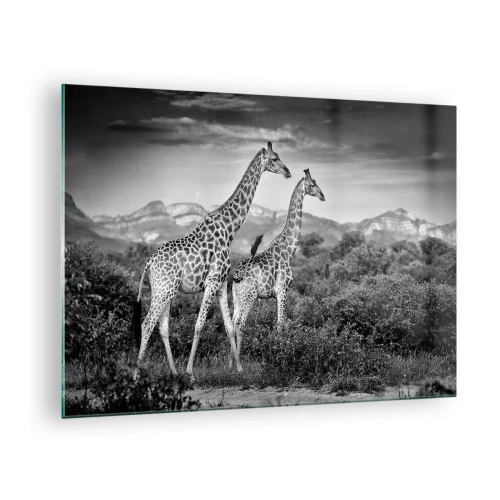 Quadro em vidro - Uma fotografia em preto e branco de duas girafas na savana. - 70x50cm - Alta Sociedade na África - Decoração de parede moderna para a sala de estar e quarto ARTTOR
