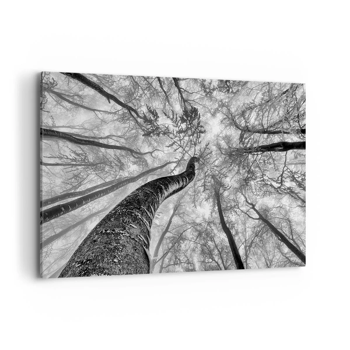 Quadro em tela - Corrida até a luz - 120x80 cm